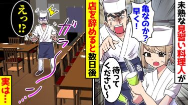 【スカッと】忙しい小料理屋でデキない見習い料理人を雇った店主。しかし数日後、新人が辞めるとなぜか客足が減ってしまい…【漫画】【スカッとする話】【アニメ】【2ch】【ミツハのスカッとLINE】