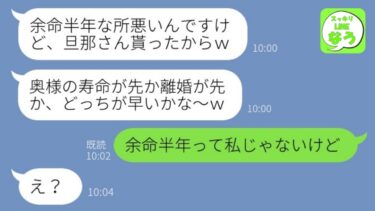 【LINE】余命半年の嫁を挑発する旦那の幼馴染から略奪連絡「離婚か寿命か楽しみねｗ」→勘違い浮気女に本当の事を伝えた時の反応がwww【総集編】【スッキリLINEなう】
