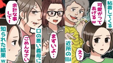 私にからんでくる近所のBBA「しつこ〜く絡んであげるｗ」→私の苦手な口の悪い義母に知られた結果ｗ【スカッとする話】【知人のLINE物語】