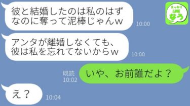 【LINE】夫の元カノを名乗る女から突然の略奪連絡「結婚を横取りした泥棒猫ｗ」→離婚要求する勘違い女を黙らせる爆笑の手段を行使した結果…w【総集編】【スッキリLINEなう】