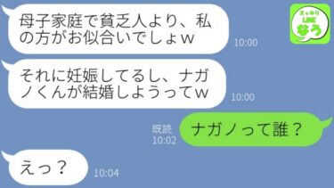 【LINE】母子家庭の私を見下し婚約者を奪った女から妊娠報告「結婚もしてタワマン住むわｗ」→社長令嬢を狙う略奪女がある事実から後悔する末路に…w【総集編】【スッキリLINEなう】