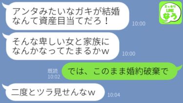 【LINE】披露宴中に婚約者より15歳年下の私を財産目当てと決めつけシャンパンをぶっかけた婚約者の姉「この寄生虫が！お前なんかと家族になってたまるかｗ」→言われた通りにすると義姉から大慌ての連絡がｗ【スッキリLINEなう】