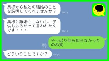 【LINE】旦那の浮気相手「金目当ての汚い嫁！早く離婚しろ」→勘違いが激しいので間違いを正してあげた時の反応が…w【スカッとする話】【総集編】【ミドリのネタ帳】