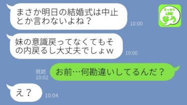 【LINE】結婚式前日に事故で緊急搬送された妹を見捨てるクズ婚約者「意識不明でも式は中止にしないからw」→破局後の泥女が彼氏、家族、居場所全てを失ったサプライズが…ｗ【総集編】【スッキリLINEなう】