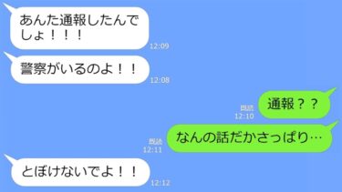 【LINE】散々断ってるのに別荘をタダで貸してクレクレするママ友→超DQNが勝手に場所を調べ上げ特定して・・不法侵入した結果ｗ【総集編】【LINEサロン】