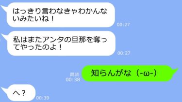 【LINE】元夫を奪ったママ友から再び略奪連絡「今回も私の勝ちねｗ」→勝ち誇るゲス女に衝撃の事実を伝え…徹底的に叩きのめした結果ｗ【LINEサロン】