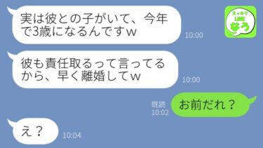 【LINE】20年連れ添った旦那の浮気相手から略奪連絡「隠し子いるから離婚でｗ」→クズ女がお望み通り結婚しようとしてからの悲惨な末路がwww【総集編】【スッキリLINEなう】
