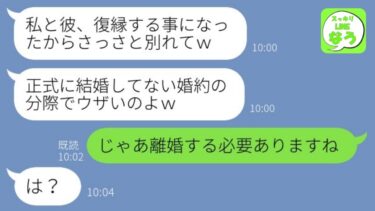 【LINE】婚約者の元カノから略奪連絡「同窓会で別れた事を後悔したのw」→勝ち誇る勘違い浮気女にある家族の秘密を教えてやった結果www【総集編】【スッキリLINEなう】