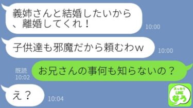 【LINE】美人の兄嫁を溺愛し略奪の為に嫁を捨てたクズ夫「離婚しろｗ」→ある現実を知り復縁要求して後悔する毒親の反応が…w【総集編】【スッキリLINEなう】