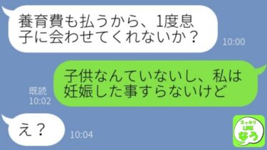 【LINE】離婚して2年後に元夫から突然「息子に会わせて欲しい」と連絡が→復縁を迫る勘違い浮気男に妊娠した事がない事実とある提案をした時の反応が…w【総集編】【スッキリLINEなう】