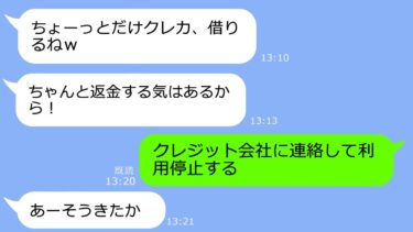 【LINE】私の財布からクレカを奪い勝手に50万使い込んだ泥ママ「ちょっと借りただけｗ」→バレてるのになぜか強気なアフォ女の転落劇ｗ【LINEサロン】