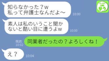 【LINE】「これだから素人は…」が口癖の自称弁護士のアフォ女「私の方が正しいからw訴えるよ！」→勝ち誇る勘違い女に私の正体を告げた時の反応が…w【スッキリLINEなう】