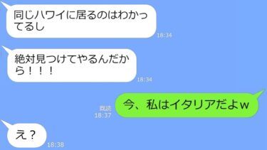 【LINE】結婚10周年の大事な海外旅行にタダ便乗するママ友「無一文でハワイ来たｗ」→私「今イタリアだけどｗ」DQN「え？」【総集編】【LINEサロン】