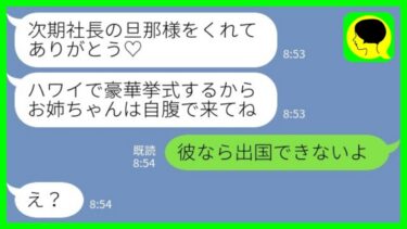 【LINE】夫を略奪した妹からハワイ挙式の招待状「飛行機代は自腹ねw」私「彼なら出国できないよ」→実は…【ミドリのネタ帳】