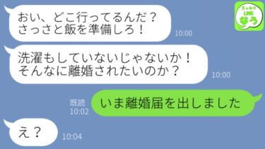 【LINE】優しい嫁が離婚の準備をしてることに気付かない亭主関白夫「お前は俺の家政婦w」→実際に離婚届を出したと伝えた時の反応が…ｗ【スッキリLINEなう】