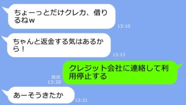 【LINE】私の財布からクレカを奪い勝手に50万使い込んだ泥ママ「ちょっと借りただけｗ」→私「上限まで使えばいいじゃない♪」…結果ｗ【総集編】【LINEサロン】