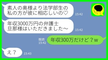 【LINE】「法学部の女子大生から突然の略奪宣言「年収3000万円の弁護士の旦那様はいただきました♡」私「え、年収300万だけど？w」→勝ち誇る小娘のその後…【ミドリのネタ帳】