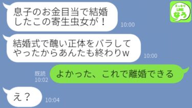 【LINE】年収1000万稼ぐ私を息子の金を吸い取る寄生虫と決めつけ結婚式を中止させるクズ義母「結婚式は中止よw」私「では離婚します」→真実を知った義母の末路がwww【スッキリLINEなう】
