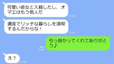 【LINE】15年間の姑の介護を終えると旦那「浮気相手と隠し子いるから離婚！遺産は全部俺のもの！」→私「どうぞ♪」→「え？」アフォ男のお望み通り離婚してあげた結果ｗ【総集編】【LINEサロン】