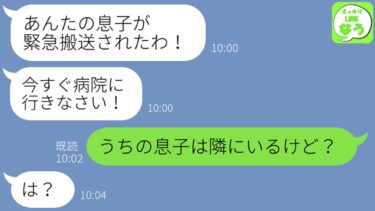 【LINE】ママ友から息子が緊急搬送されたからすぐに来いと緊急連絡→しかし当の本人は隣にいることを伝えた結果…【スッキリLINEなう】
