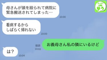 【LINE】帰省中の夫｢母さんが頭を殴られて意識不明で緊急搬送された！看病のためしばらく帰らないから｣→義母なら隣りにいることを夫に伝えた結果w【スッキリLINEなう】