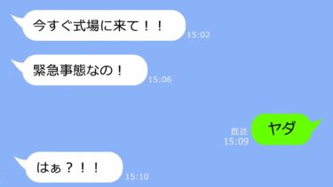 【LINE】医者との結婚が決まった妹「在宅ニートのお姉ちゃんは来ないでｗ」→式当日、私が存在しない設定にした妹から大慌てで連絡がきたｗ【LINEサロン】
