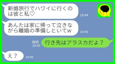 【LINE】新婚旅行で搭乗の1分前に新郎を奪って駆け落ちした幼馴染から勝利宣言「ハワイに行くのは彼と私♡」私「行き先はアラスカだよ…？」→宿泊先を知った幼馴染のその後www【ミドリのネタ帳】