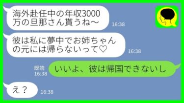 【LINE】海外赴任中の夫を奪ったと妹から突然の連絡「旦那さんはもう帰らないから！ごめんね～w」私「いいよ、彼は帰国できないし」→姉から彼の仕事を聞いた時の妹の反応がwww【ミドリのネタ帳】