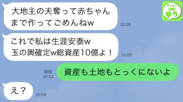 【LINE】大地主の夫と結婚した私に嫉妬して奪った幼馴染「彼の資産と土地は私のものよ！玉の輿は私だからw」私「その土地もお金ももうないけど」→実は…【スッキリLINEなう】