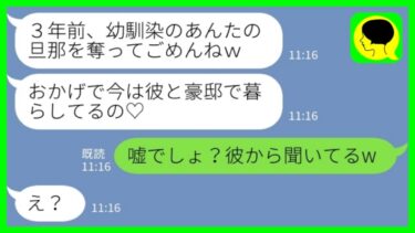 【LINE】出産直後に私の夫を奪った幼馴染から3年ぶりの連絡「エリートの旦那さんと豪邸で暮らしてるの♡」私「嘘でしょ？彼から聞いてるw」→実は…www【ミドリのネタ帳】