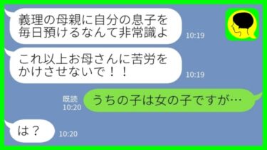 【LINE】義実家住みの義姉から突然のブチ切れ連絡「毎日お義母さんに息子を預けるなんて非常識でしょ！」私「うちの子は女の子ですが…」→姑が預かっていた子供の正体が…【ミドリのネタ帳】