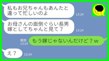 【LINE】長男夫婦が離婚したと知らずに姑の介護と家事を押し付けてくる義妹「嫁の仕事をちゃんとやれw」私「もう嫁じゃないんだけどw」→我慢の限界を迎えた嫁の衝撃発言がwww【ミドリのネタ帳】