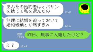 【LINE】38歳の私を見下して婚約者を奪った23歳の後輩女「無理に結婚を迫ったんでしょ？オバサン痛すぎw」私「昨日無事に入籍したけど？w」→新婚の夫を紹介した時の反応がwww【ミドリのネタ帳】