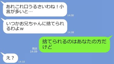 【LINE】内緒でTDLに行くために高熱の子供を嘘ついて託児してきたDQN義妹→非常識自己中女の『〇〇』が旦那にバレた時の反応が…ｗ【総集編】【LINEサロン】