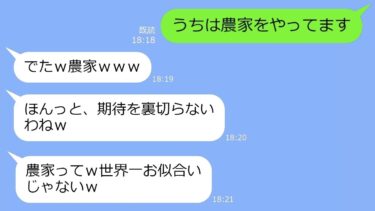 【LINE】農家の私を見下す田舎に都会から越してきたママ友→金持ち自慢がウザいインテリママに農家の本当の実力を知った時の慌てぷりがｗ【総集編】【LINEサロン】