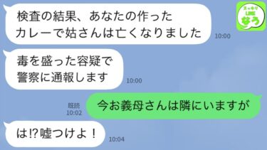 【LINE】医者「あなたが作ったカレーを食べて姑さんが亡くなりました」→姑は私の隣に居ると真実を教えてやった結果ｗ【スッキリLINEなう】