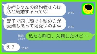 【LINE】双子の姉をブスと見下す自称美人の妹から堂々の略奪報告「結婚挨拶の時に一目ぼれしちゃった♡彼も私と結婚するって♡」私「昨日入籍したけど…」→勘違い妹の末路…【ミドリのネタ帳】