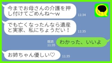 【LINE】5年前に要介護の母を見捨てて音信不通になった妹から突然の連絡「お母さん亡くなったんでしょ？遺産と実家ちょうだい！」私「わかった、いいよ」妹→実家の現実を知った妹の末路がwww【ミドリのネタ帳】