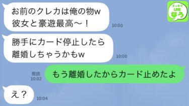 【LINE】穏やかな妻を軽視して無断でクレジットカードを使って海外旅行で贅沢を楽しむ夫「逆らうなら離婚w」→浮かれている愚かな男性が妻からある真実を知らされた時の反応がwww【スッキリLINEなう】