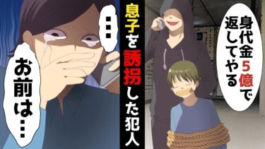 【LINE】年収6億円弁護士の私に息子の誘拐連絡「身代金5億で息子を返してあげるww」⇒完全な計画だと天狗になっている犯人にIQ200の息子がとった行動がww誘拐した相手が悪かったねww【スカッと】【スカッと生活】