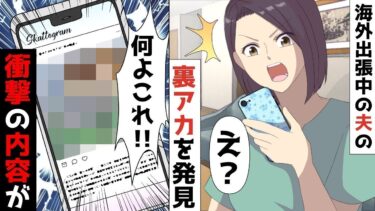 【LINE】年収7000万、海外出張中の夫のインスタ裏アカを発見！？！？⇒バレないように監視していた結果‥衝撃の真実が！！【スカッと】【スカッと生活】