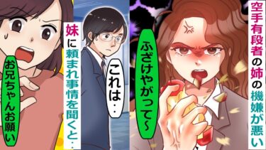 空手有段者でもある美人な姉の機嫌が悪い「ふざけてる！」妹に頼まれ事情を聞いてみると･･【スカッと総集編】【知人のLINE物語】