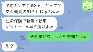 【LINE】私がガンで余命3ヵ月と知って大喜びする夫「超ラッキー！家と車の資金できたわw」→実は末期なのはお前だと伝えた結果ww【スッキリLINEなう】