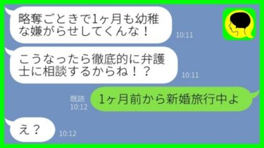 【LINE】私から旦那を奪った幼馴染から怒りの苦情連絡「弁護士に相談するわよ！？」→勘違い女に「私、新婚旅行中だけど」と伝えた時の反応がwww【総集編】【ミドリのネタ帳】