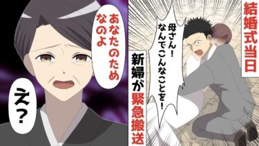 【LINE】総額3000万、結婚式当日来客500人の前で新婦が緊急搬送…いつも健康な新婦の異変の原因に一同騒然！⇒俺「母さん！！！！」【スカッと】【スカッと生活】