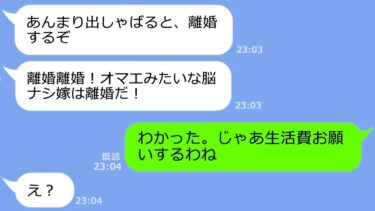 【LINE】気弱な嫁を見下して傲慢な態度のDQN旦那と姑「脳ナシ嫁は離婚だ！」→私「じゃあ生活費お願いするわね」自己中すぎるDQNを黙らせた嫁の反撃がｗ【総集編】【LINEサロン】