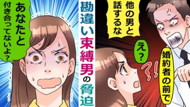 婚活パーティで遭遇した勘違い男「俺を誘ったくせにｗ」→してもいない婚約の話をされ･･【スカッと総集編】【知人のLINE物語】