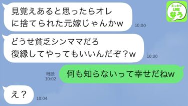 【LINE】私が里帰りの間に浮気して妹と再婚した元夫。慰謝料も養育費も払わず逃げたクズ男と再会すると…元夫「シンママ大変だなw復縁するか？w」→上から目線がひどいので私の状況を教えてやるとwww【スッキリLINEなう】