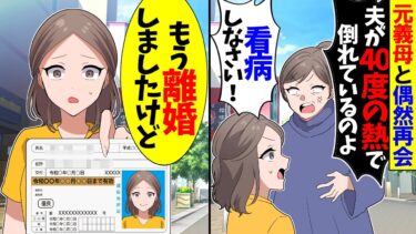 【スカッと】別れた元夫の母「夫が倒れた！嫁なんだから看病しなさい！！」→私「もう離婚したから看病しないと」と伝えて結果【漫画】【アニメ】【スカッとする話】【2ch】【モニロボ】