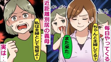 夫がいない時間を狙って毎日やってくるトメ「私は専業主婦として出来ないことないわ」【スカッと総集編】【知人のLINE物語】